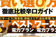 【罠悲報】新電力さん、なんと1年で14社倒産していた‥‥撤退は計31社に