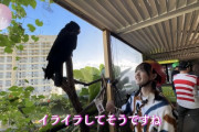 【櫻坂46】番組収録してYouTubeも撮るのな すごい時代や…