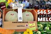 海外視聴者「こんなに大切に育てられてるんだね！」北海道の夕張メロンの生産現場に密着したドキュメンタリー