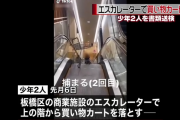 都立高校と無職の少年２人、エスカレーターの上の階から買い物カートを落とす危険行為で書類送検「その場のノリと勢いでカートを落としてしまった」