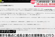 【朗報】静岡県のハヤテグループ、静岡を本拠地にしたプロ野球二軍設立へ