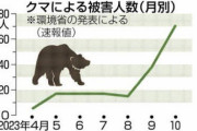 クマ論争