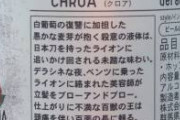 【悲報】日本語、難しすぎる