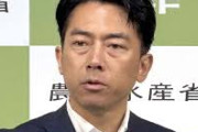 【朗報】小泉進次郎、総裁有力候補へｗｗｗｗｗｗｗｗｗｗｗｗｗｗｗｗｗｗｗｗｗｗｗ