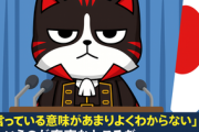 【マジキチ】サヨク「地震の後には戦争がやってくる。気をつけて！」…ネット「いつ日本に戦争がやってきた？」