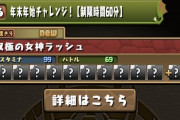 【パズドラ】69階層を60分以内で←こういう頭の悪さ好き