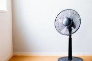 【法医学者】「扇風機をつけっぱなしで寝るとしぬ」っていう都市伝説は本当なのか？