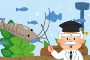 ミナミヌマエビに詳しい人いたら来てくれないか