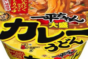 【一強】カップ麺業界さん、カレー味で誰もカレーヌードルに挑まないwwwwwwww（画像あり）