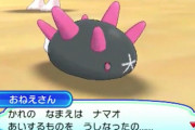 ポケモンの「ナマコブシ」について知ってること