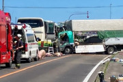 高速バスとトラックが衝突　15人けが　そのうち２人～３人が心肺停止　トラックに積まれていたブタも逃げ出す　北海道八雲町