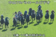 【悲報】今日の落馬事故、がちでヤバイ