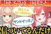 【にじさんじ】あかぴゃの2日のみ同居人になり配信にも声がのっちゃう鏑木