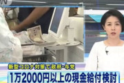 【悲報】日本政府、ケチが過ぎるだろｗｗｗ