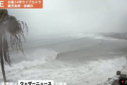 【ライブカメラ】台風にさらされる一本のヤシの木ヤッシー、数千人に心配されるｗｗｗｗｗｗｗｗｗ