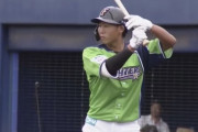 日ハム難波（二軍）.157 0本 11打点 23失策（規定到達）