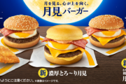 【速報】マクドナルド、明日全てを過去にする新作発売ｗｗｗｗｗｗ