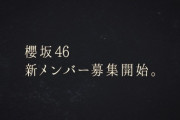 【櫻坂46】新メンバーオーディション 開催決定🌸