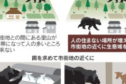【速報】日経新聞「自衛隊の武器使用を巡っては、憲法9条の規定もあり厳しく制限されています」
