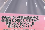 【悲報】専業主婦さん「毎日暇でしょうがない」