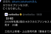 【悲報】森久保乃々の声優「ののちゃんグッズ嬉しい」ウマ娘オタク「そんなことよりカワカミプリンセス死んだから反応しろよ！」クソリプをしてしまう