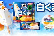 鹿児島発祥のアイス「白くま」 20年間で売上約3倍　人気の理由は？