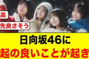 まさかの奇跡が！日向坂46に縁起が良いことが起きる【日向坂46/クリフハンガー】