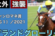 フランスGI馬グランドグローリー、引退レースとしてジャパンカップに出走