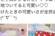 福原愛と吉田沙保里の会話が異次元過ぎて草ｗｗｗｗｗｗｗｗ