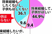 【悲報】Z世代の半数近く「子ども要らない」