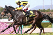 忘れな草賞勝ち馬ステラリアは川田でオークスへ
