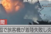 韓国で起きた179名が亡くなった航空機事故。現場の空港では直接の原因となったバードストライクへの対策を法律で定められた1/6以下の面積でしかやっていなかった……そっかー、1/6以下かー