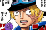 ワンピース サボの輝かしき軌跡