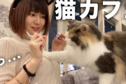 【5ch】ぼっち女子大生いけちゃんってかわいいよな