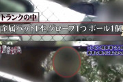 【悲報】バットとグローブとボールを持ってたら逮捕?
