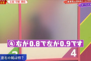 「欅って、書けない？」が面白くない理由が分かった！ｗｗｗ