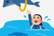 お前らって水族館行ったらイルカショー観ないで熱帯魚の水槽とか観てるタイプだよな？