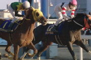 【競馬】サウンドトゥルー大野って正直どうなの