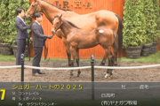 【セレクトセール2025】シュガーハートの2025(父コントレイル)が22,000万円で落札　他
