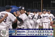 【悲報】ヤクルトファン、丸2週間敗北を知らない