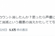 【悲報】「電撃ピカチュウ」の作者、女性声優に対して不謹慎なツイートをしてTwitterから消えていたｗｗｗｗｗ