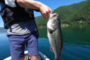 バス釣りブームで始めてリリースするな条例が施行されてやめた