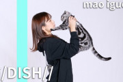 これ許可とってるのかな…元日向坂46井口眞緒が話題の名曲DISH『猫』を歌ってみた結果・・・【THE FIRST TAKE】