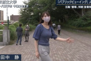【画像】とんでもない服装の美人記者が見つかるｗｗ
