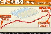 【悲報】農水大臣「たまごの価格が下がらないかなーって神頼みしてる?」