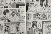 【画像】有名漫画家さん、『萌えイラストを炎上させるフェミ』の実態をお描きになる