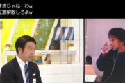 立憲民主･米山隆一｢年収170万円とかじゃなくて500万600万の人に減税するのはやりすぎ｣ 無事炎上
