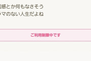 【画像】ワイ、ママ友コミュニティを荒らしまくったせいで書き込み規制されてしまう