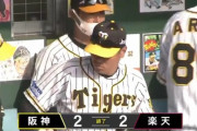 【阪神対楽天練習試合】阪神対楽天は２－２で引き分け