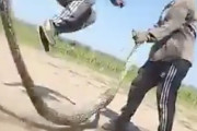 【画像】海外の陽キャさん、捕まえた巨大ヘビで大縄跳びをしてしまい大炎上・・・